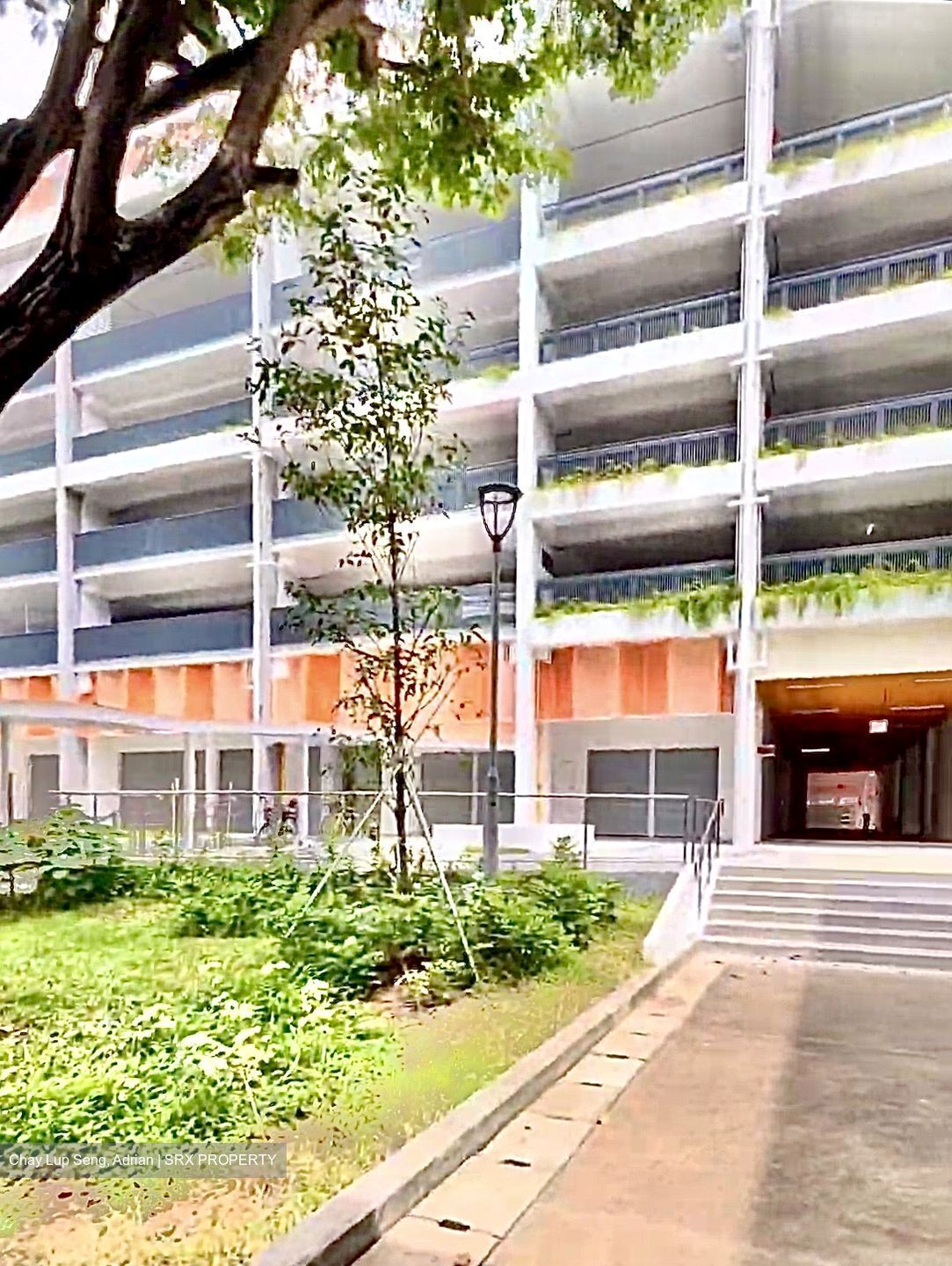 Macpherson Blossom (D13), Shop House #432301151